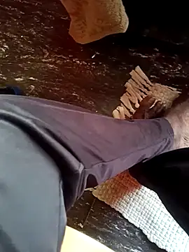 dolphiinn online show from November 26, 2025, 2:11 am