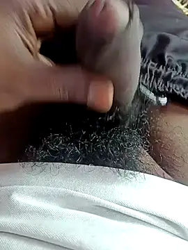 dolphiinn online show from December 5, 2025, 4:55 am