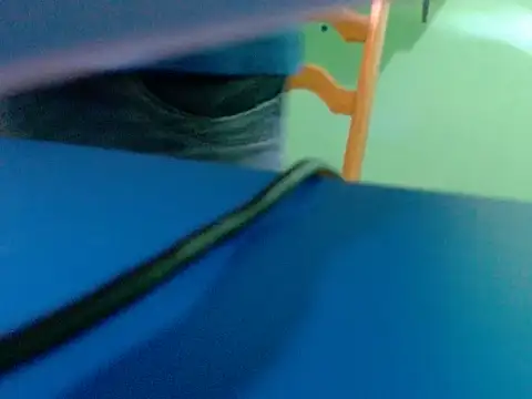 pau888kkkk online show from September 30, 2025, 10:32 am