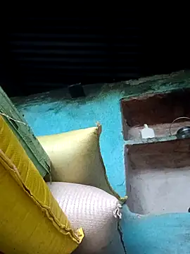 Dikchahot online show from October 30, 2025, 2:43 am