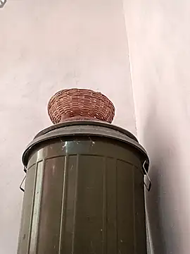 Dikchahot online show from October 15, 2025, 1:37 am