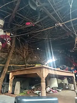 cute diya 12 online show from November 11, 2025, 3:23 am