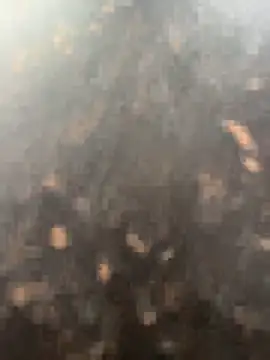 anjalibb online show from October 27, 2025, 7:20 am