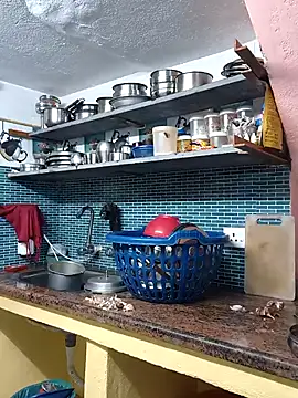 bakyasree143 online show from November 26, 2025, 7:19 am