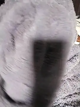 venu00 online show from February 14, 2026, 3:29 am