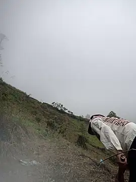 Ngoc-bbi online show from April 1, 2026, 1:41 am