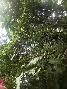 dulcelatin21 online show from November 25, 2025, 7:58 pm