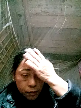 Sa2mh20 online show from December 17, 2025, 10:31 am