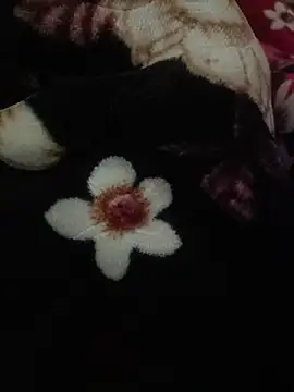 indianshycouple online show from April 9, 2026, 10:10 am