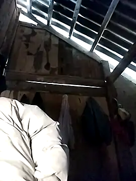  YooY  online show from January 13, 2026, 1:53 am