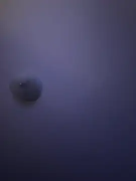 Troydaddy578 online show from April 1, 2026, 4:25 am