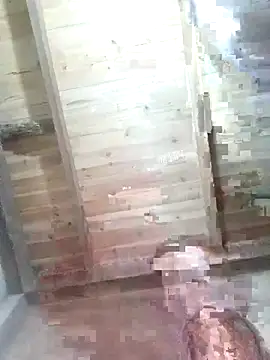 Snapshot of Fienjr chatting on February 12, 2026, 1:38 am Fienjr online show from February 12, 2026, 1:38 am