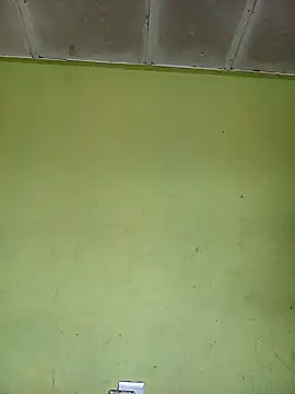 Snapshot of phumlanisanka chatting on November 1, 2025, 7:35 am phumlanisanka online show from November 1, 2025, 7:35 am