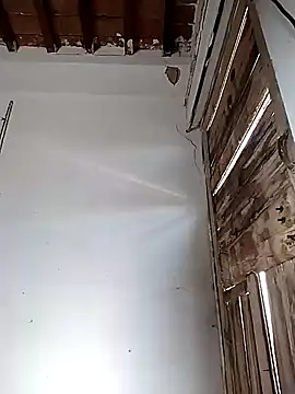 PunjabiSardarBull online show from March 7, 2026, 5:03 am