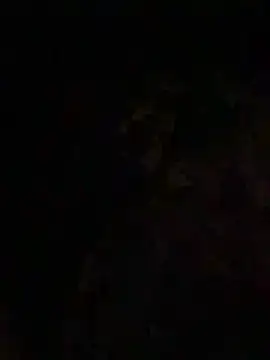 CaptHook931 online show from April 2, 2026, 1:35 am