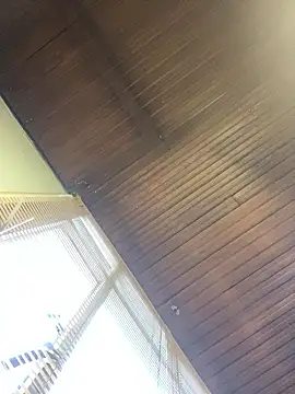 KloePink  online show from January 14, 2026, 11:36 am