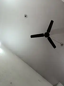 Appypie online show from December 23, 2025, 6:34 am