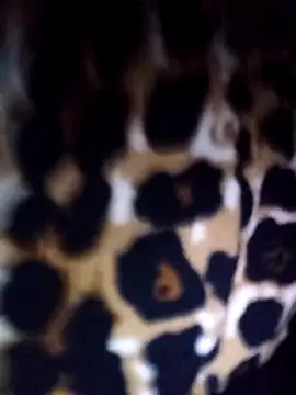 Snapshot of Thaohoa_love chatting on February 22, 2026, 9:49 pm Thaohoa love online show from February 22, 2026, 9:49 pm