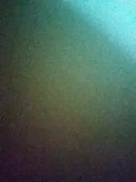 Snapshot of Riya_jaan12 chatting on November 4, 2025, 10:41 am Riya jaan12 online show from November 4, 2025, 10:41 am