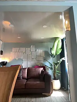 Canneela online show from February 12, 2026, 6:07 pm