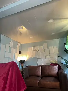 Canneela online show from February 14, 2026, 12:49 pm