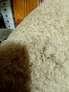 Ahalm online show from November 16, 2025, 2:33 pm