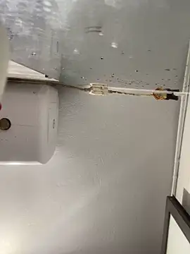 Pyy07 online show from February 20, 2026, 11:56 am