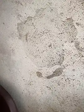 Snapshot of Schii69 chatting on December 18, 2025, 11:41 pm Schii69 online show from December 18, 2025, 11:41 pm