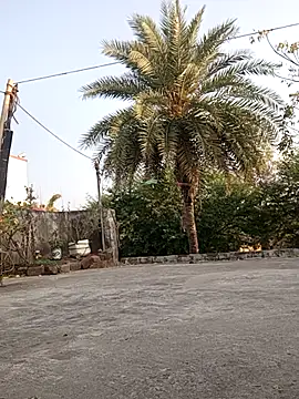 monu bhabi online show from February 10, 2026, 2:54 am