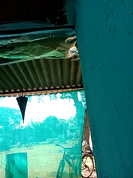 Hot-honi online show from November 5, 2025, 4:59 am