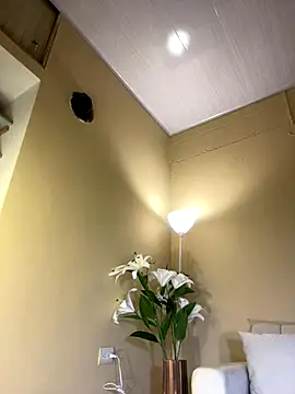 RedVelvet Dream online show from December 23, 2025, 4:12 am