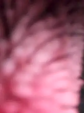 simi-lucy online show from November 28, 2025, 1:11 pm