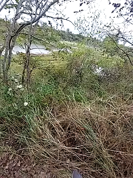 slaveman4you online show from September 18, 2025, 12:41 pm