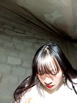 tcm-cute online show from November 25, 2025, 12:49 pm