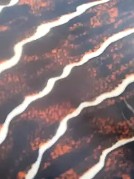 Snapshot of Idhika_Handoo chatting on February 13, 2026, 11:54 am Idhika Handoo online show from February 13, 2026, 11:54 am