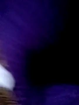 Payal950 online show from February 13, 2026, 4:18 pm