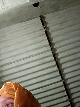 Payal950 online show from January 8, 2026, 12:44 pm