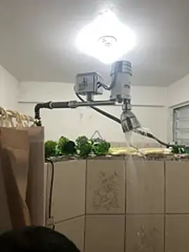 Snapshot of YadielPublic chatting on February 27, 2026, 12:55 am YadielPublic online show from February 27, 2026, 12:55 am