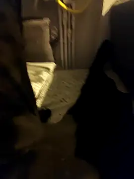 siadxh online show from February 6, 2026, 11:45 pm