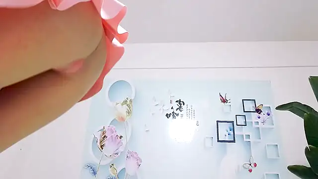 Tianxin6 online show from December 5, 2025, 12:32 am