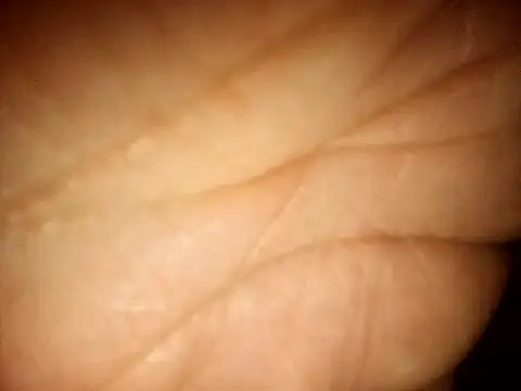 Snapshot of MikeMister chatting on April 7, 2026, 6:48 am MikeMister online show from April 7, 2026, 6:48 am