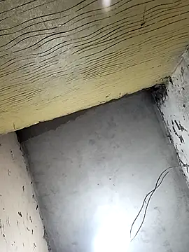 Bebicho14 online show from April 1, 2026, 4:36 am