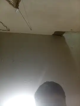 Bebicho14 online show from March 18, 2026, 8:39 am