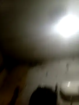 Bebicho14 online show from September 10, 2025, 1:59 am