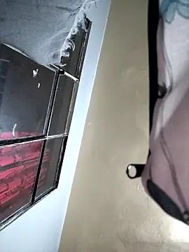 MAFE  29 online show from February 23, 2026, 1:51 am