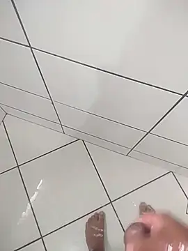 Novin23cms online show from November 18, 2025, 7:28 pm