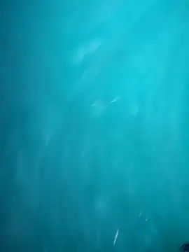 HOT DAAN79 online show from November 4, 2025, 7:50 pm