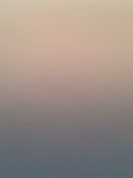 Adele Pinkk online show from November 20, 2025, 12:17 pm