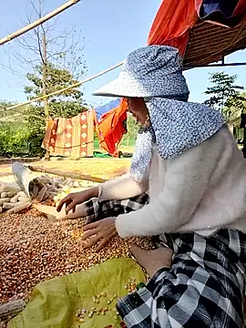 Tin tanny online show from November 26, 2025, 8:14 am