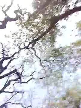 Hot rachnasexy online show from April 12, 2026, 6:05 am